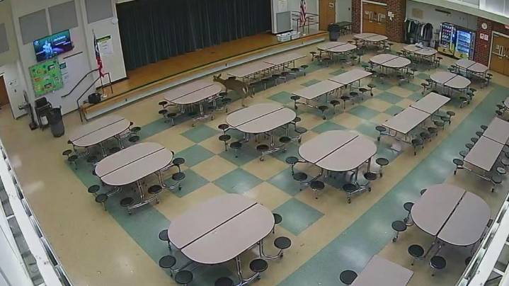 Deer smashes through middle school cafeteria window during breakfast: Watch the video