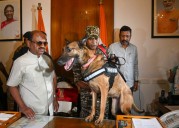 Bengal Governor leads search operation at Raj Bhavan for ‘arms’ post TMC MP’s allegations