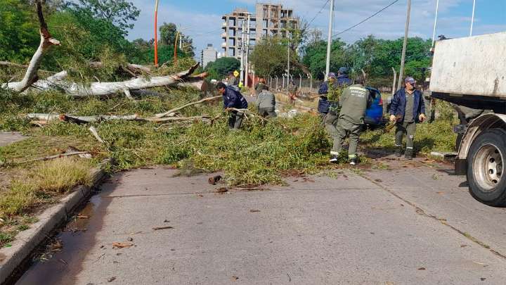 La Municipalidad puso en marcha su Comité de Emergencias ante los daños por el…