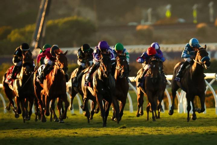 Photos: 2025 Breeders’ Cup 