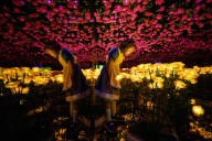 ‘Alice in Wonderland’ lights attraction wows guests in Ontario