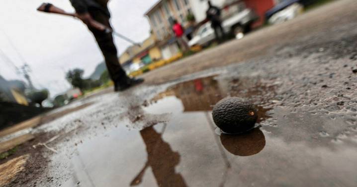 Michoacán, territorio de tres cárteles terroristas en la mira de Estados Unidos