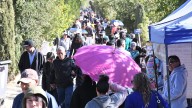 Más de 89 mil personas visitan panteones municipales durante el fin de semana del Día de Muertos