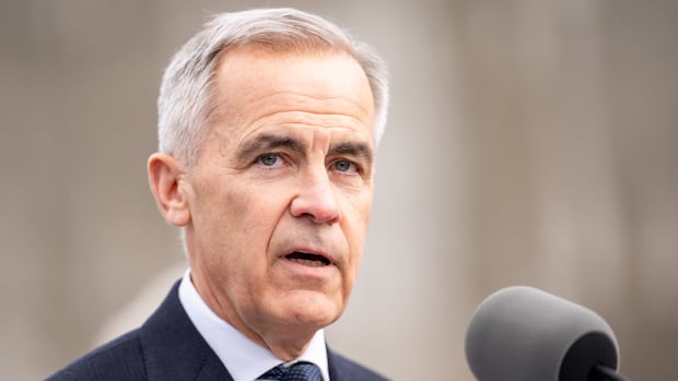 Government spends $19B on external services, despite vow to trim spending