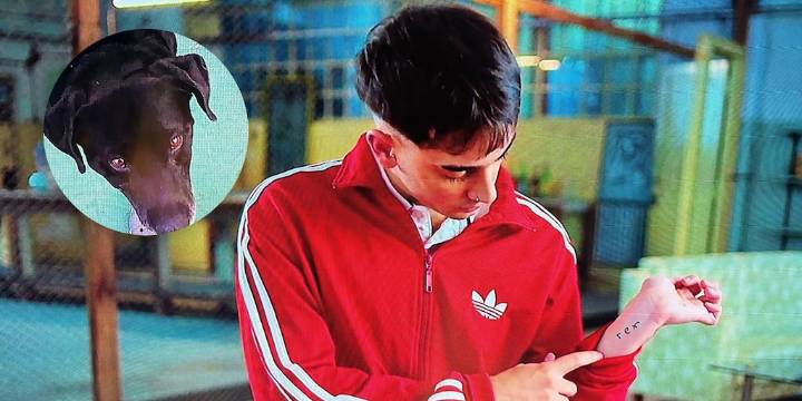 La conmovedora historia de Rex, el perro callejero que aparece en el documental de Fernando Báez Sosa: “No fue una casualidad”