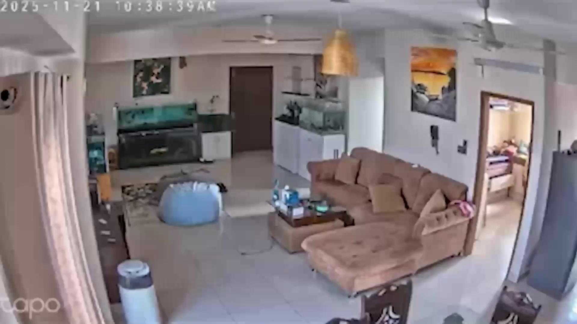 CCTV videos capture the moment an earthquake hit central Bangladesh