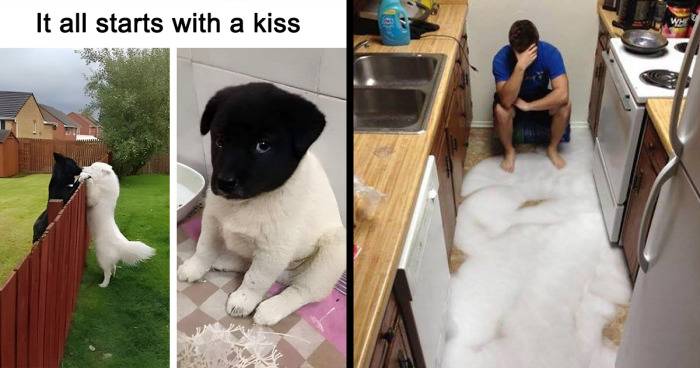 This Page Shares The Most Random And Entertaining Pics, And Here’s 30 Of The Best