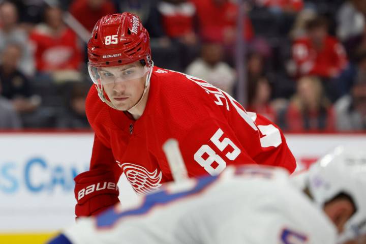 Red Wings Activate Elmer Söderblom, Place Michael Rasmussen On IR