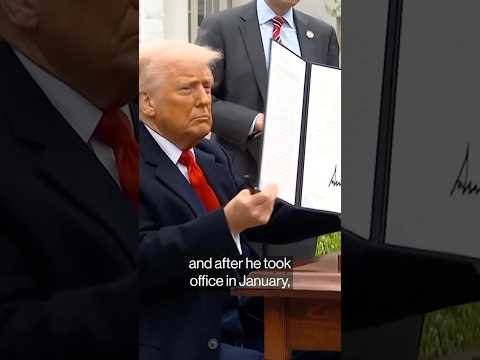 They Voted for Trump. His Tariffs Killed Their Business