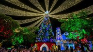 Envigado enciende su alumbrado y da inicio a la Navidad