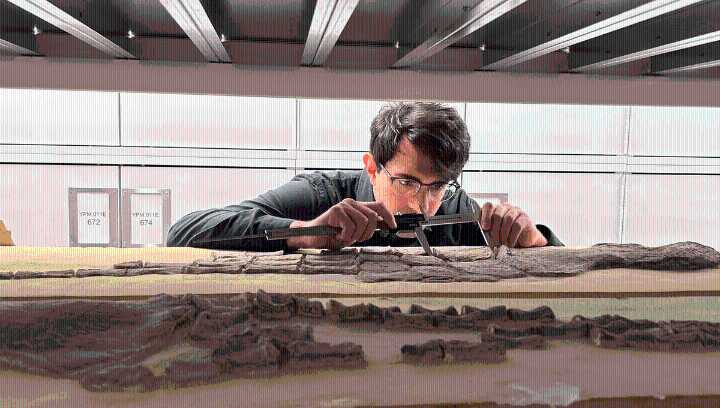 Machine Learning, WW2-Era Statistics, And 11,000 New Measurements: How Scientists Figured Out When Some Ancient Species Returned To The Sea