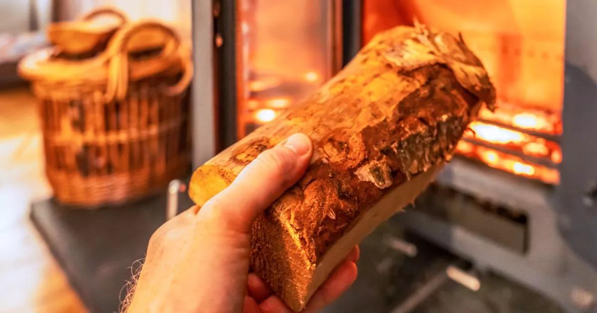 UK households with log burners could face £300 fines this winter over little