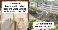60 Times People Took A Pic Of Something Very Random They Found Out