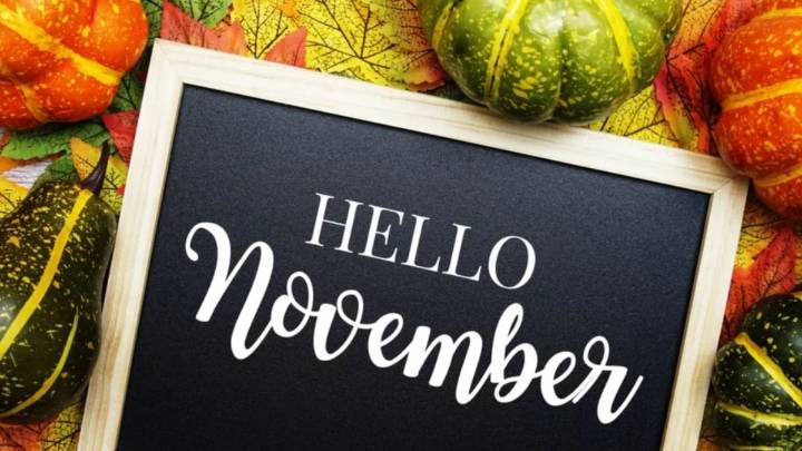 What’s On This November 2025: The Best Events, Exhibitions And Experiences Across India