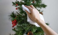 Lavá tu arbolito de Navidad antes de armarlo para sacarle toda la tierra