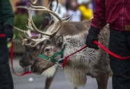 Christmas in Kochville 2025: Free family event features Santa, reindeer, fireworks