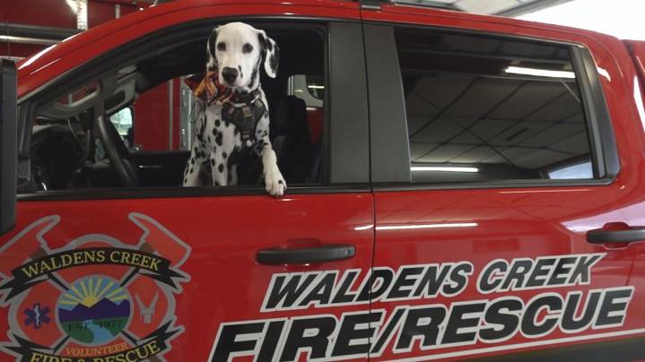 Waldens Creek Fire Department welcomes Chief Blaze to the team
