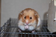 Veeder: Birthdays bring excitement but also reflection