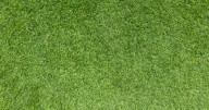Warning for all UK households who have artificial grass