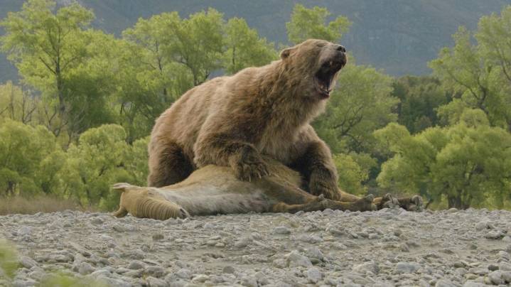 A foot-tall elephant? 'Prehistoric Planet: Ice Age' on Apple TV reveals surprising creatures