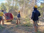 Las brigadas forestales de INFOAR trabajan más de 4.400 hectáreas anuales para apoyar la prevención de incendios forestales