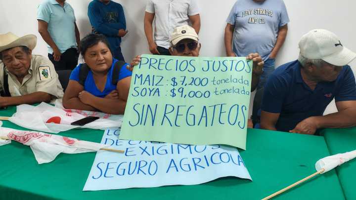 “$7,200 POR TONELADA, EXIGEN SIN REGATEOS”