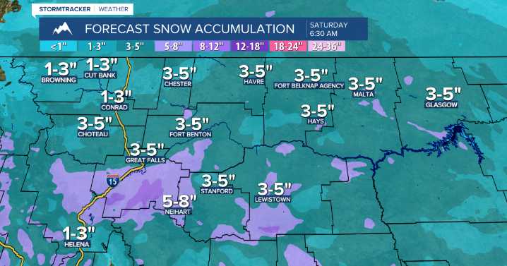 Trending News (Friday, November 28, 2025)