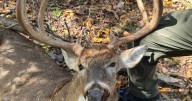 Illegal deer hunting investigated in Cape Girardeau