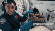 Chinese taikonauts grill kebabs, steaks on Tiangong Space Station