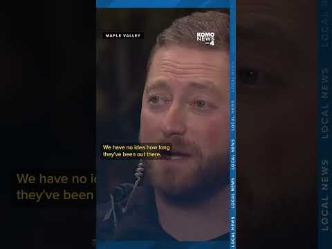 Muddy tire tracks lead King County deputy to hoard of stolen cars in wooded encampment