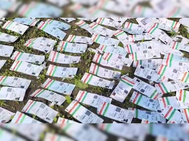 Fear Of SIR? Thousands Of Aadhaar Cards Found Dumped In West Bengal Lake; BJP Blames Mamata Banerjee