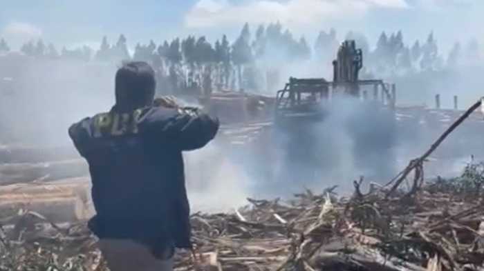 Queman siete máquinas  forestales en La Araucanía