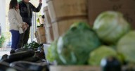 Second Harvest plans food distributions for SNAP recipients