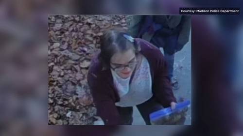 Slender Man Waukesha stabbing: Morgan Geyser, who stabbed classmate, missing after cutting off electronic monitoring device: Cops