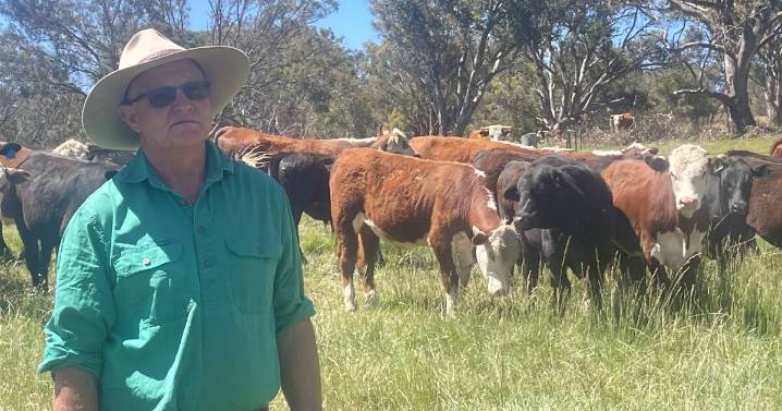 Penny Sharpe pledges to visit Walcha over power line concerns