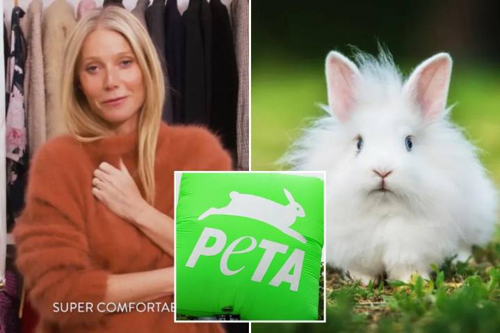 Exclusive | PETA urges Gwyneth Paltrow’s Goop to stop using fur from cute angora rabbits subjected to ‘unending hell’ in Chinese factories