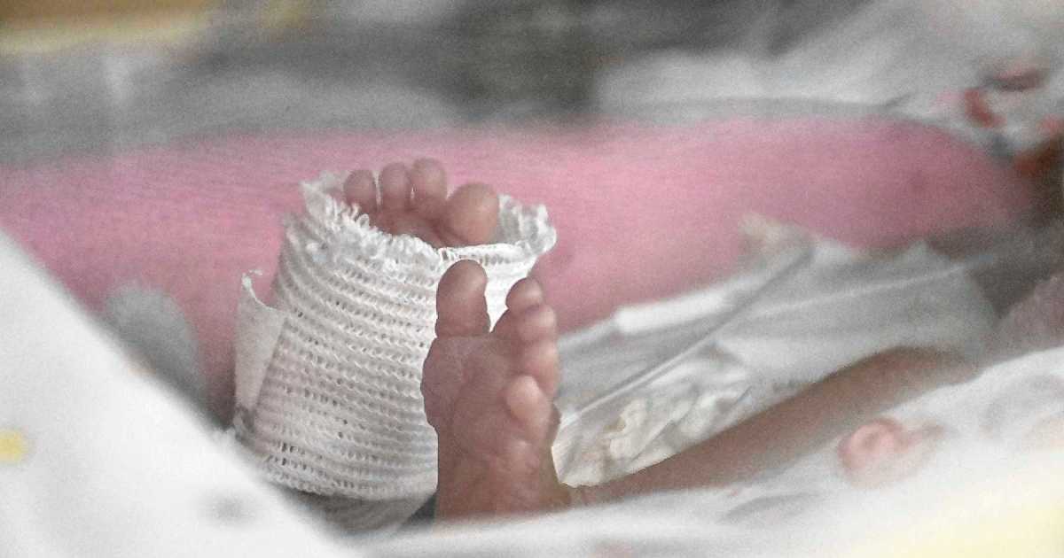 Día del Bebé Prematuro: entre gramos y meses de gestación, cada latido cuenta para sobrevivir