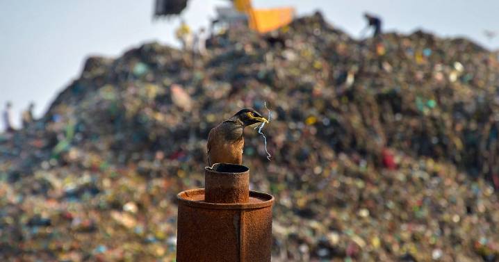 This Tamil Nadu City Ranks Dirtiest In India — Check List Of The Worst & Best