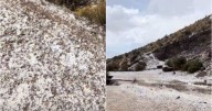 Cerquita de Salta, nevó en plena primavera: se tiñó de blanco
