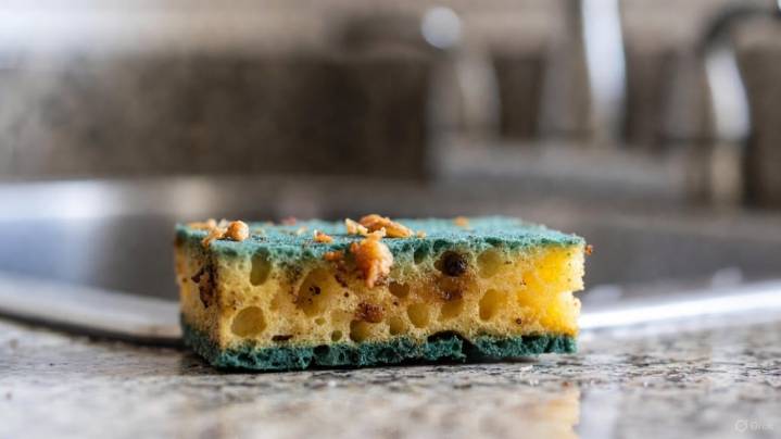 Ni 2 ni 8: cada cuánto hay que desinfectar la esponja para lavar los platos, según una ingeniera en alimentos