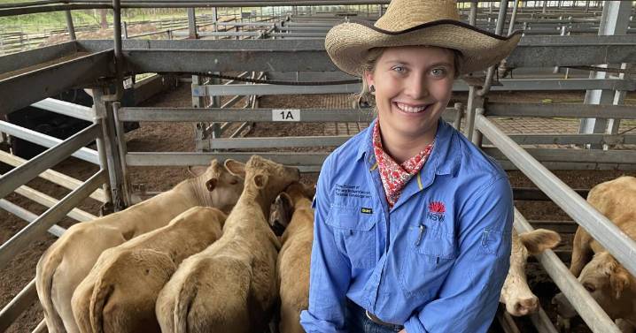 Cattle market surges with rainfall and restocker interest