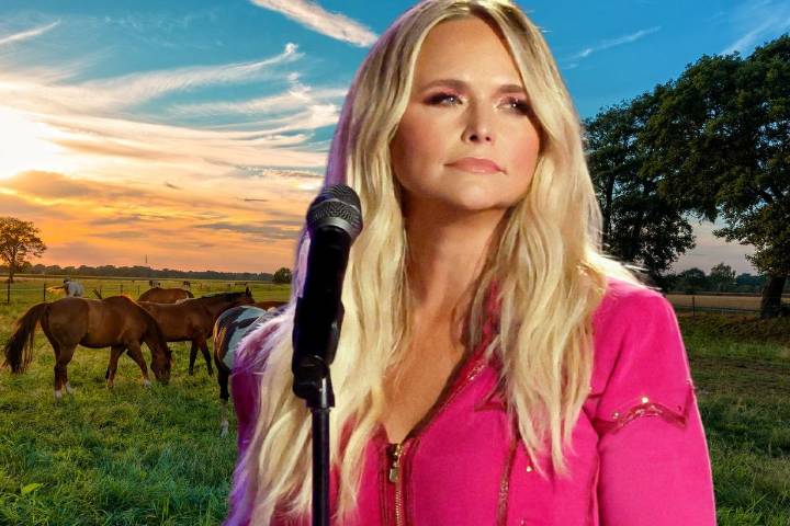 Miranda Lambert is Grieving the Loss of Two of Her Mini Horses