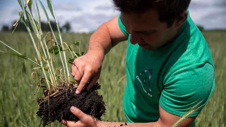 Cover crop and no-till field day to be held near Ollie Nov. 18