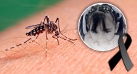 Autoridades no atendieron llamado por dengue en Bácum y murió niña de 10 años, denuncia regidor