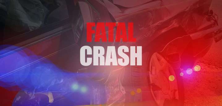 Williston man dies after vehicle rollover