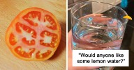 ‘Failed Harvest’: People Are Sharing What They Failed To Grow In 30 Funny Pics