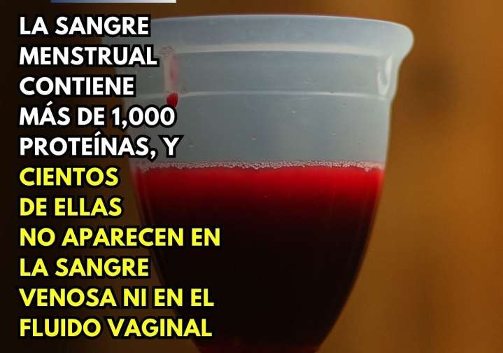 La sangre menstrual es mucho más interesante de lo que imaginábamos.