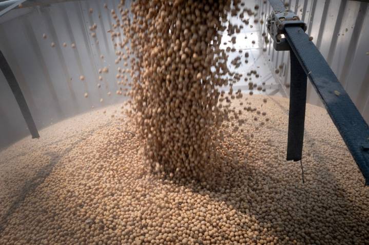 China’s purchases of US soybeans stall despite trade truce