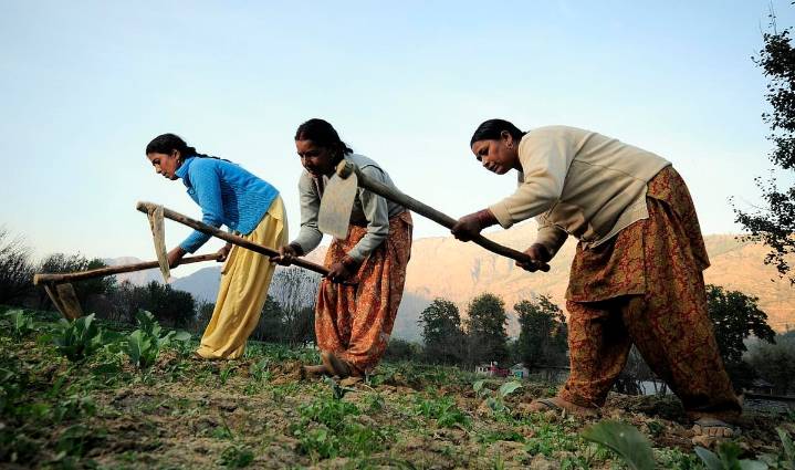 Odisha government issues standard operating procedure to test farm equipment for women farmers