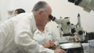 Sader evalúa laboratorio en Mérida para crear biofábrica de moscas estériles contra gusano barrenador